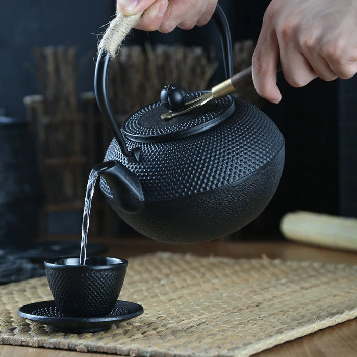 Cast Iron Teapot with Stainless Steel Mesh Filter — Induction Ready