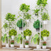 Metal Plant Stand — 4/6/8-Tier Flower Pot Rack, White or Dark Grey