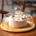 Wooden Cake Stand with Transparent Dome — Dessert Plate & Cupcake Display (Turntable)