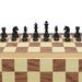 Solid Wooden Magnetic Foldable International Chess Set — Educational Game