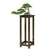Multi-Tier Indoor Floor Plant Stand – Solid Wood Succulent Display Rack