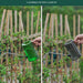 1 L / 1.5 L Long-Spout Watering Can with 3-Piece Shovel Set for Indoor & Outdoor Plants