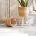Floor‑standing Rattan Plant Stand with Wooden Legs — Indoor Pothos Holder