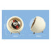 Single Automatic Watch Winder — Compact Rotating Desktop Winder