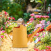 2-litre Long-Spout Watering Can — Durable Plastic with Ergonomic Handle