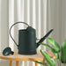2-litre Long-Spout Watering Can — Durable Plastic with Ergonomic Handle