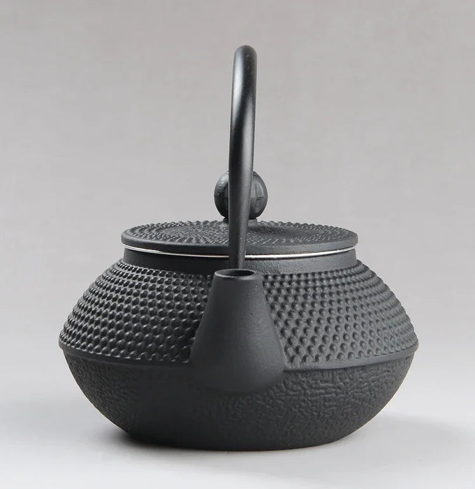 Japanese‑style Cast Iron Teapot with Stainless Steel Infuser — 300ml