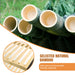 3-Tier Natural Bamboo Shoe Rack — Durable, Moisture-Resistant, Holds 12 Pairs (55 x 70 x 25 cm)