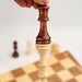 29x29cm Foldable 3‑in‑1 Wooden Chess, Checkers & Backgammon Board