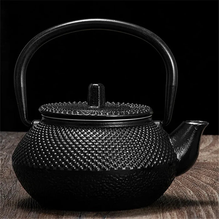 300ml Cast Iron Teapot with Stainless Steel Infuser — Black