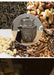 Metal Tea Caddy – Large Bronze Storage Can for Tea, Coffee & Sugar (15x6cm)