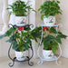 Double-Layer Metal Plant Stand — Multi-Layer Floor Display (1 pack)