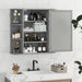 3-Tier Mirrored Bathroom Cabinet — Wall-Mounted with Display Shelves, Grey