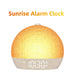 Sunrise Wake-Up Light Alarm Clock with Dimmable Night Light & 30 Soothing Sounds