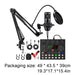 BM-800 Podcast Bundle with V8 Sound Card — Condenser Mic Kit for Podcasting, Streaming & Recording