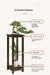 Multi-Tier Indoor Floor Plant Stand – Solid Wood Succulent Display Rack