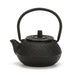 Cast Iron Teapot with Stainless Steel Mesh Filter — Induction Ready