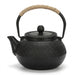 Cast Iron Teapot with Stainless Steel Mesh Filter — Induction Ready