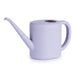 Long-Spout Watering Can — Compact 1L & 2L for Home, Office & Garden