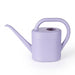 Long-Spout Watering Can — Compact 1L & 2L for Home, Office & Garden