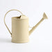 2-litre Long-Spout Watering Can — Durable Plastic with Ergonomic Handle