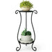 Double-Layer Metal Plant Stand — Multi-Layer Floor Display (1 pack)