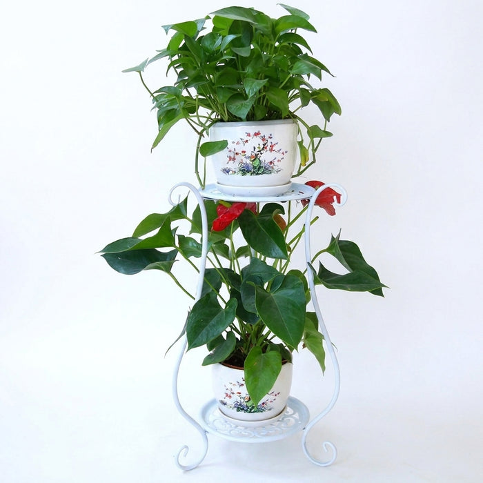 Double-Layer Metal Plant Stand — Multi-Layer Floor Display (1 pack)